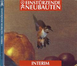 Einstürzende Neubauten : Interim